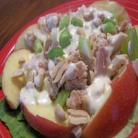 Apple-Peanut Salad with Tuna_image