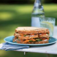 Carrot Sandwich with Avocado_image
