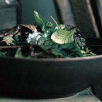 Mesclun Salad image
