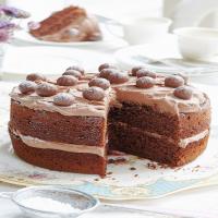 Mary Berry's Malted Chocolate Cake_image