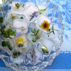 Flowers and Posies Frozen in Time! Fresh Floral Ice Cubes image