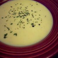 Spicy Summer Squash Soup_image
