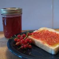 Red Currant Jelly image