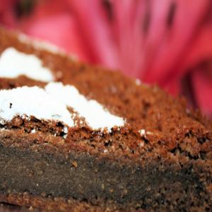 Chocolate Dessert Cake_image