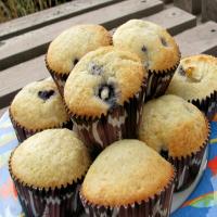 Blueberry Muffins from the Loveless Cafe_image