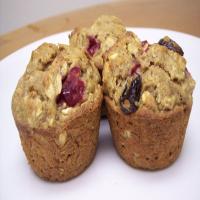 Oatmeal Cranberry Applesauce Muffins_image