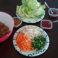 My Thai Chicken Wraps_image