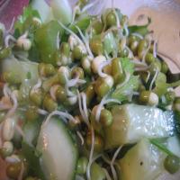 Cucumber Sprout Salad image