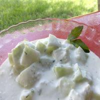 Cucumber Salad With Yogurt (Middle East, Palestine) image