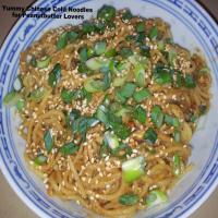 Yummy Chinese Cold Noodles for Peanutbutter Lovers! image