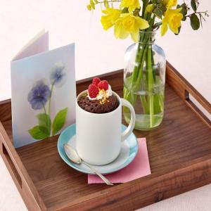 Chocolate Mug Cake in a Microwave image