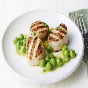 Caramelized Scallops with Green Pea Vinaigrette_image