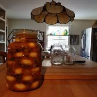 Shannons Spicy Pickled Eggs_image