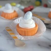 Orange Creamsicle Yogurt Bites Recipe - (4.4/5)_image
