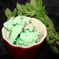 Homemade Mint Chocolate Chip Ice Cream_image