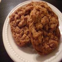 Oatmeal Molasses Cookies_image