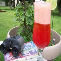 Fresh Lime Soda With Berries image