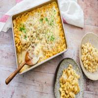 Gourmet Four Cheese Macaroni and Cheese_image