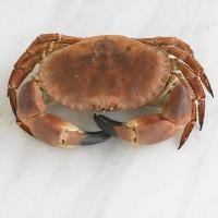 Dressing crab - How to image