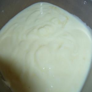 Mayonnaise, Yogurt (No Oil) image