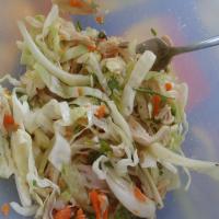 Crunchy Vietnamese Chicken Salad image