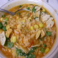 Spicy Chicken Rice Soup image