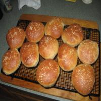 Amish Sourdough Bread/Starter image