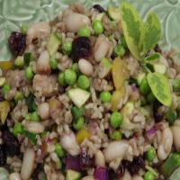 Brown Rice Salad With Zucchini, Beans and Dried Cherries_image