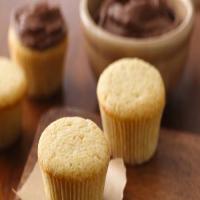 Yellow Cupcakes_image