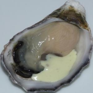 Fire and Ice Oysters with Horseradish Sauce_image