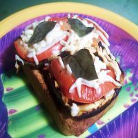 Open-Face Grilled Eggplant Sandwiches image