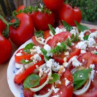 Vine Ripened Tomato, Sweet Onion and Basil Salad image