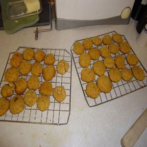 Iris's Low Protein Dog Cookies_image