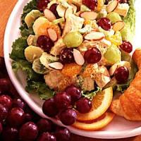 Curried Chicken Fruit Salad_image