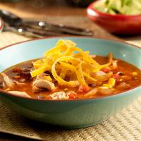 Spicy Mexican Tortilla Soup_image