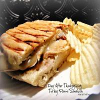 Day After Thanksgiving Turkey Panini_image