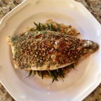 Pecan-Crusted Trout image
