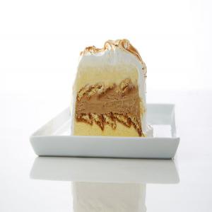 Vanilla Ice Cream for Tiramisu Ice Cream Cake_image