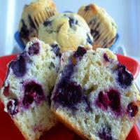 New England Blueberry Muffins_image