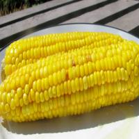 Perfect Corn on the Cob image