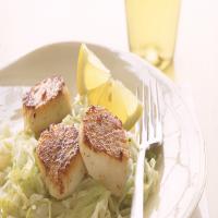 Seared Scallops with Cabbage and Leeks image