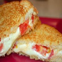 Gourmet Grilled Cheese Sandwiches_image