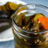 Fire and Ice Marinickles (No Canning Marinated Pickles)_image