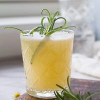Apricot Rosemary Gin Fizz_image