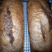 Gluten Free Friendship Bread & Starter Recipe image