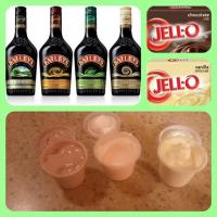 Irish Cream Pudding Shots Recipe - (4/5) image