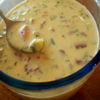 Weight Watchers Yummy Cheese Soup (Easy Too) image