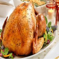Herb Roasted Turkey with Pan Gravy_image