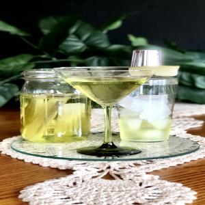 Homemade Dill Pickle Vodka_image