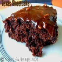Texas Sheetcake aka The Pioneer Woman's Best Ever Chocolate Sheet Cake Recipe - (4.1/5)_image